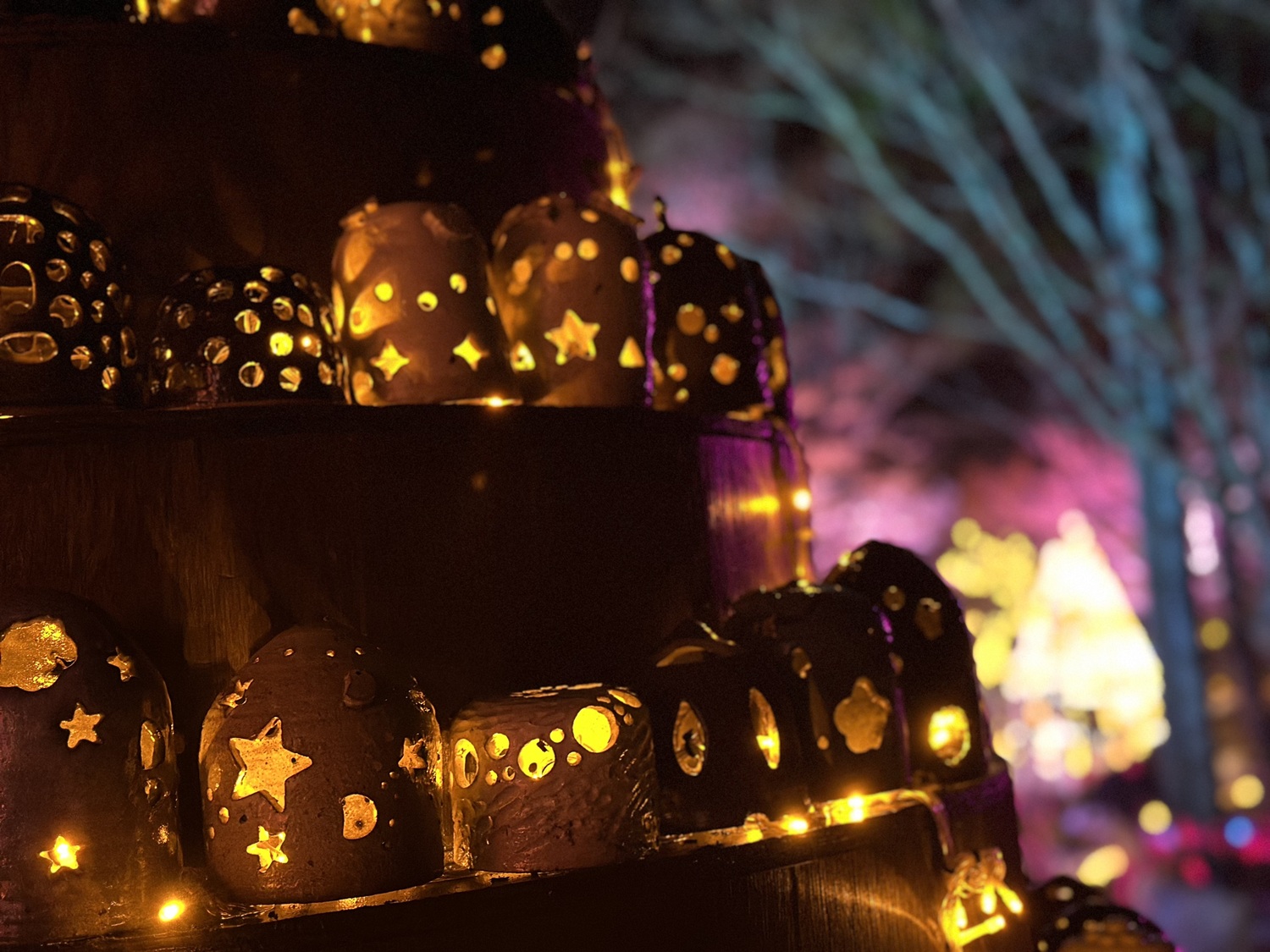 越前焼×イルミネーション『五千色の陶あかり』2025